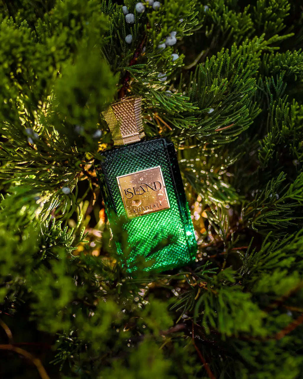 KHADLAJ ISLAND Pure Parfum – Unisex Long Lasting Exotic Niche Perfume, Luxury Cologne Gift for Men Women